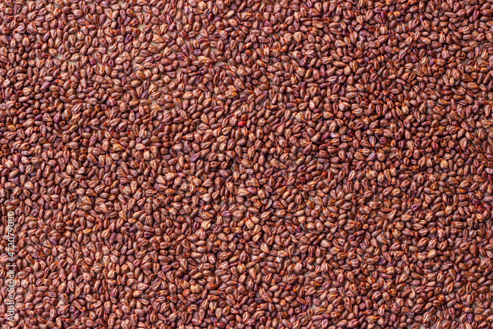 A snapshot of scattered grape seeds. Small scale texture