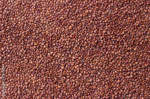 Obraz na płótnie A snapshot of scattered grape seeds. Small scale texture w salonie