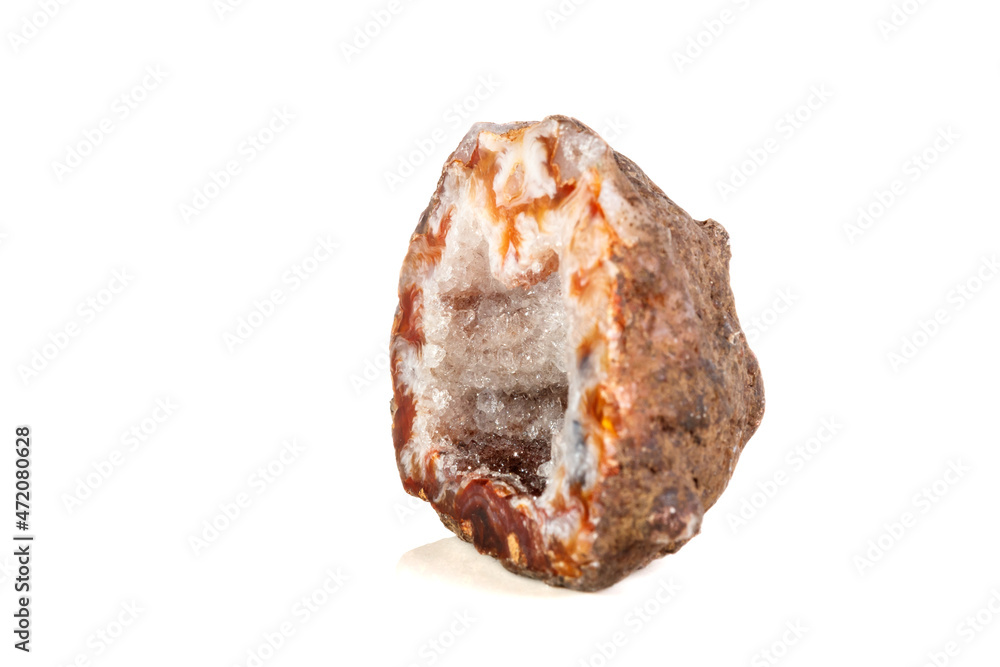 Macro mineral stone agate kidney gerbera on white background close up Macro mineral stone agate kidney gerbera on white background close up