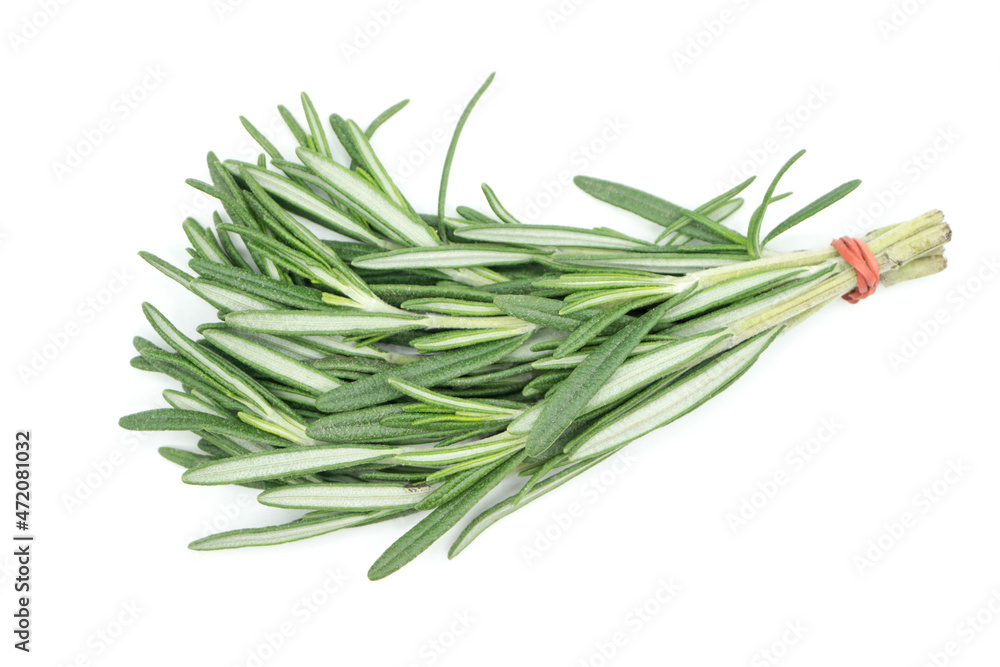 Rosemary isolated on white background top view Rosemary isolated on white background top view