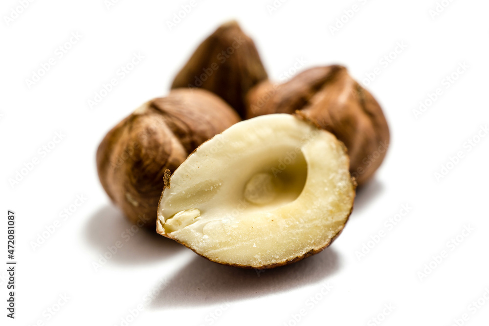 hazelnuts isolated on white background hazelnuts isolated on white background