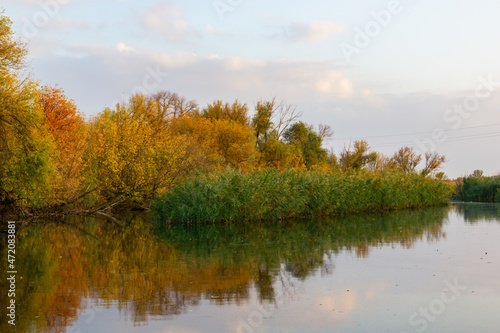 Calm river along the banks, autumn colorful trees are reflected in the water, clear evening sky. In the foreground is a tree stump
