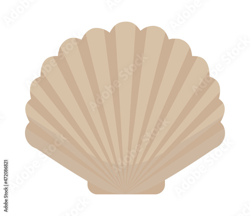 Tela seashell icon image