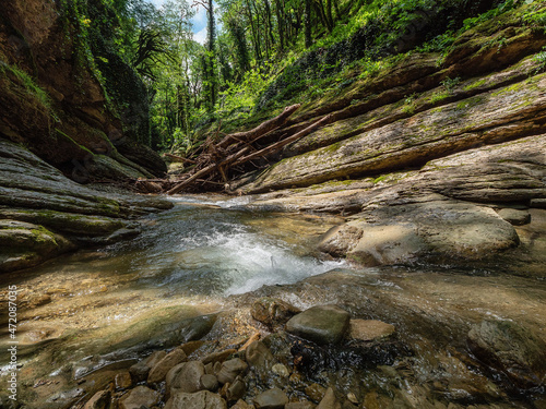 The Great Caucasian Ridge. Kudepsta River Canyon. Subtropical forest. photo