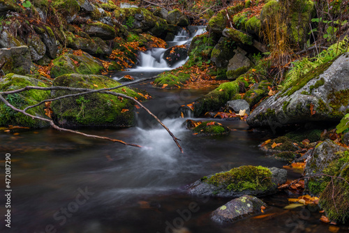 Sumny creek in autumn morning in Jeseniky mountains