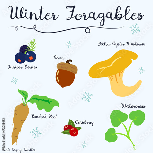 6 elementos típicos do inverno