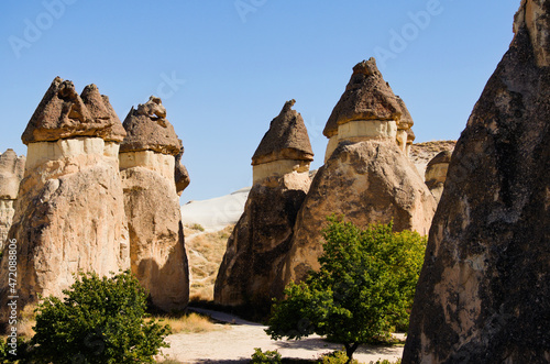 Picturesque landscape of shaped sandstone rocks. Famous Fairy Chimneys or Multihead stone mushrooms in Pasaba Valley near Goreme. Popular travel destination in Turkey. UNESCO World Heritage Site