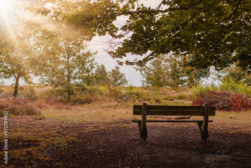 Empty bench in a park in autumn with sun flare 