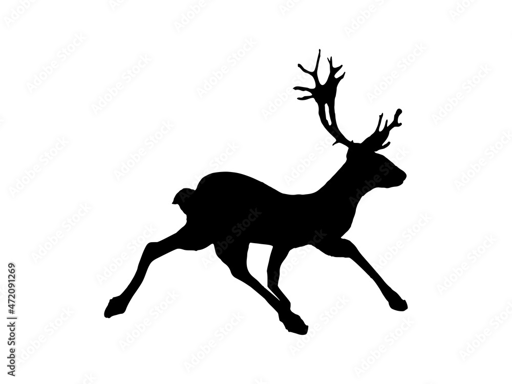 Reindeer silhouette. Black reindeer on a white background. Christmas themes. Graphic Resources. Reindeer silhouette. Black reindeer on a white background. Christmas themes. Graphic Resources.
