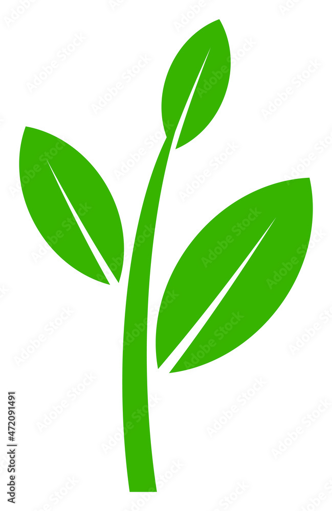 Tea plant vector illustration on a white background. An isolated flat icon illustration of tea plant.