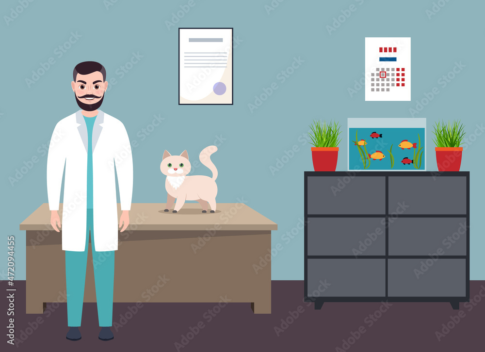 male veterinarian and cat, flat vector male veterinarian and cat, flat vector