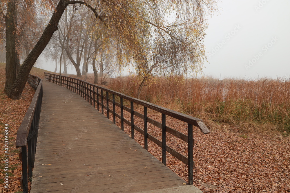 wooden bridge in the park in fog wooden bridge in the park in fog