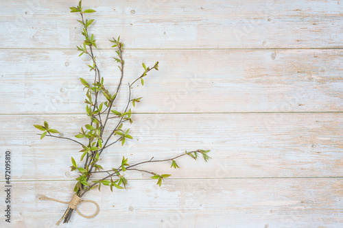 Green bouquet of pussy willow twigs on a wooden background. There is room for text.