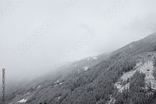 A forest on a snowy mountain, covered by a thick cloud © Anna