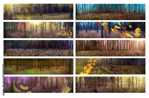 Wide banners of nature misty fall landscape with orange falling autumn leaves. Panoramic banners collage photo