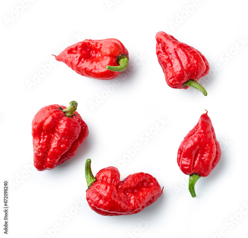 hot red ghost peppers photo