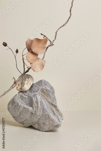 Canvas Print Abstract nature scene with composition of stone and dry branches