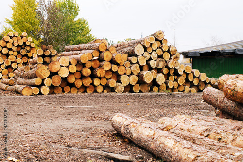 A pile of pine logs in a sawmill warehouse. Lumber for construction
