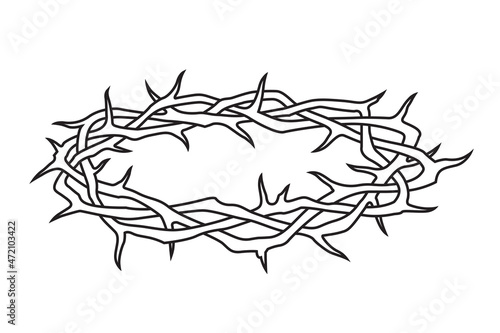black crown of thorns image isolated on white background