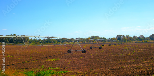 sprinkler irrigation system on the field. Cultivation of agricultural crops.