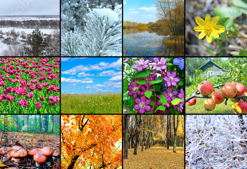 calendar shedule with twelve photo of nature. Template with picture