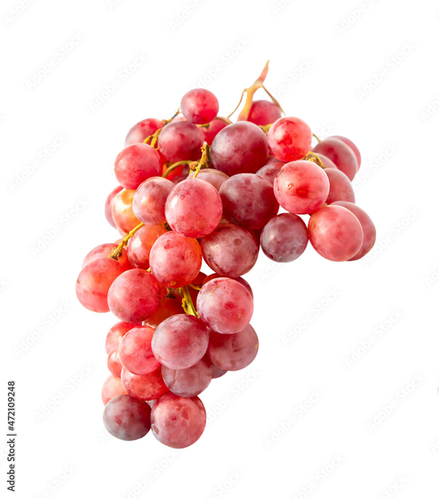 Branch of pink grapes isolated on white background. Branch of pink grapes isolated on white background.