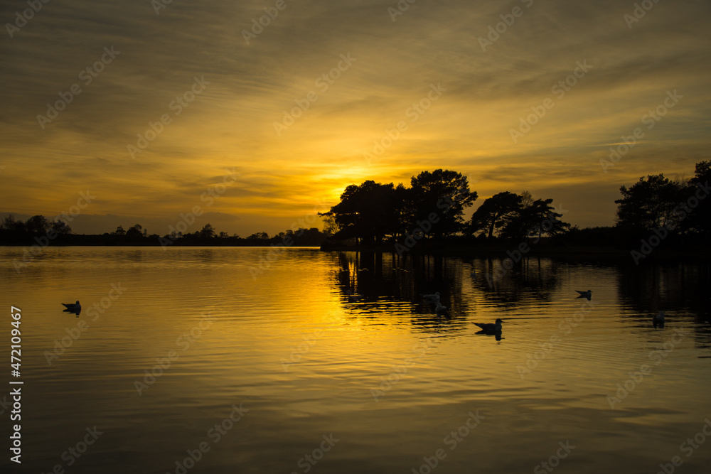Fototapeta premium Golden World...