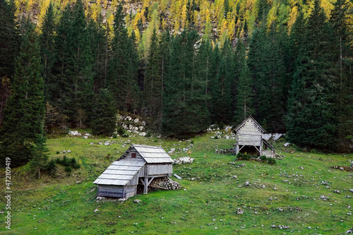 Landscape of Planini pri Jezeru in Triglav National Park, Slovenja, Europe 