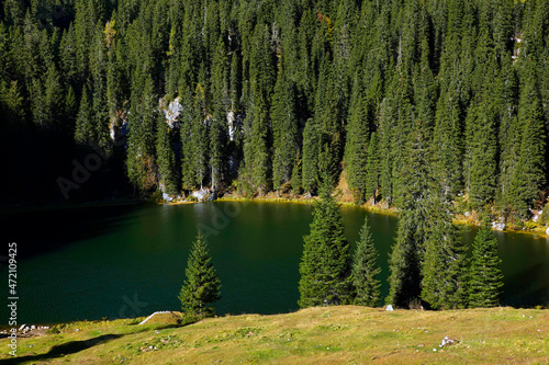 Planina pri Jezeru in Triglav National Park, Slovenja, Europe 