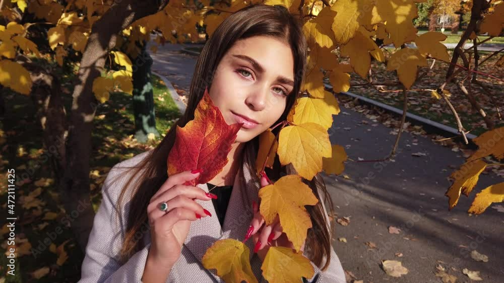cute brunette in a beige coat with leaves in her hands on a background of autumn leaves cute brunette in a beige coat with leaves in her hands on a background of autumn leaves