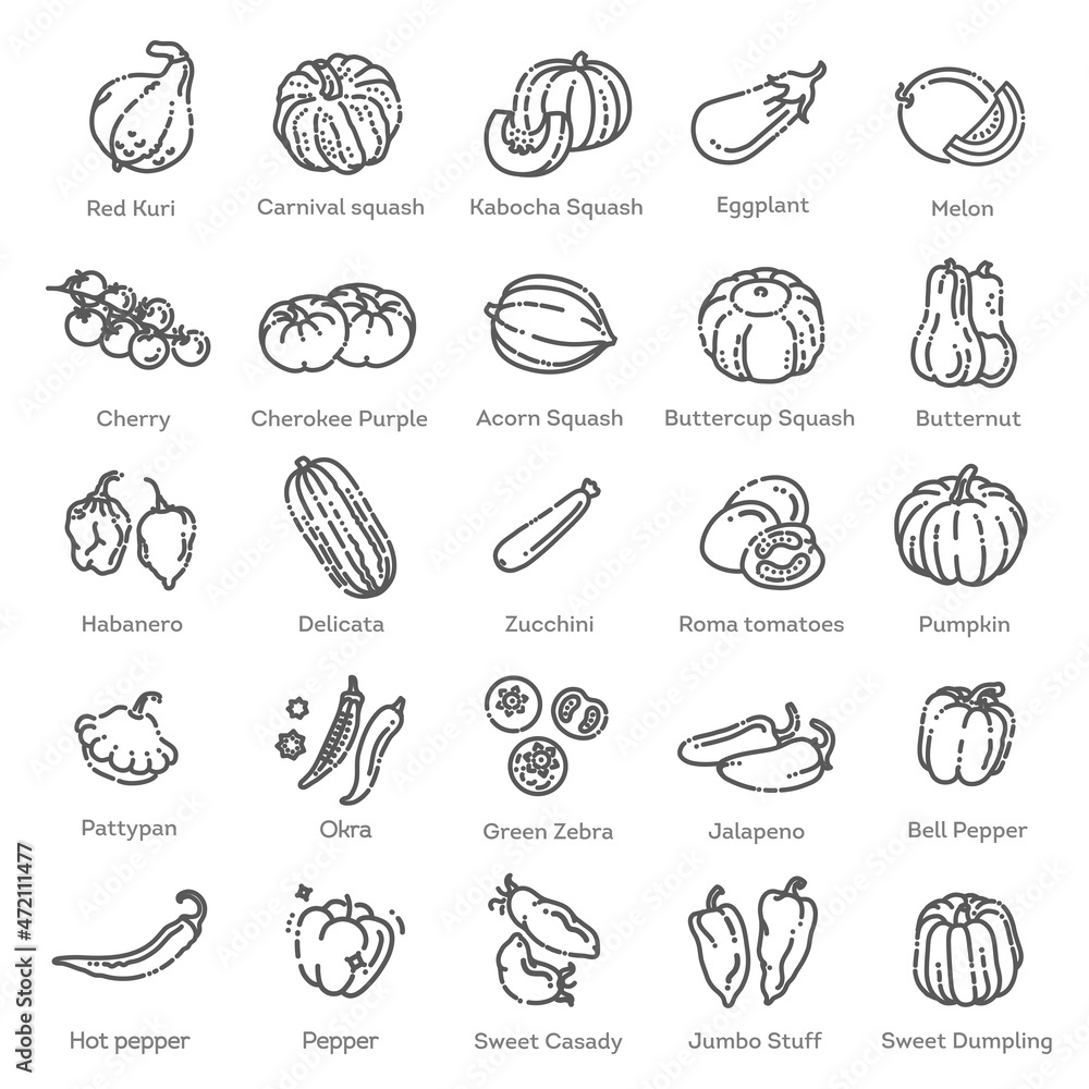 Vector collection with various kind of tomatoes, peppers, squashes and other vegetables Vector collection with various kind of tomatoes, peppers, squashes and other vegetables