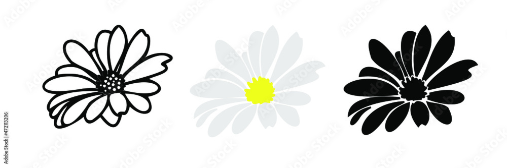 Daisy flower head set , hand drawn illustation , isolate on white backgrond