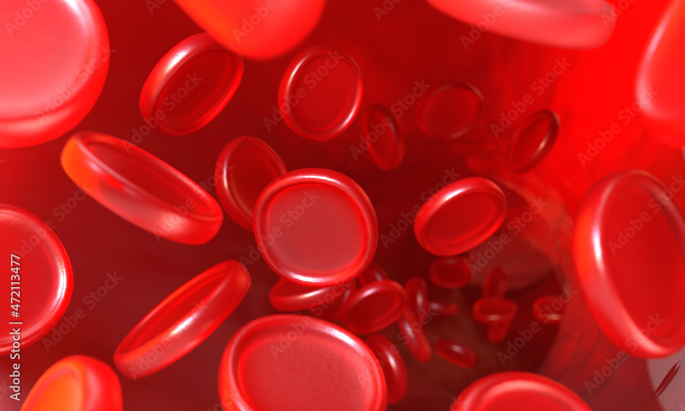 Red blood cells passing through the inside of a vein. Interior of the human body. 3d render Red blood cells passing through the inside of a vein. Interior of the human body. 3d render