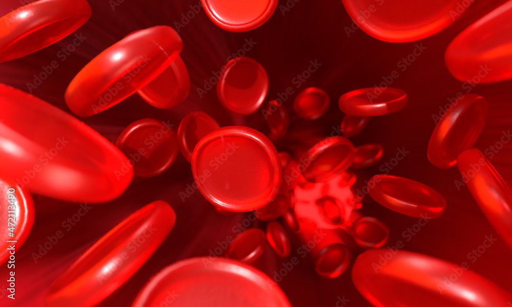 Red blood cells passing through the inside of a vein. Interior of the human body. 3d rendering. Red blood cells passing through the inside of a vein. Interior of the human body. 3d rendering.