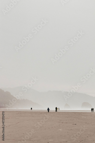 fishing on the beach © KIFLU