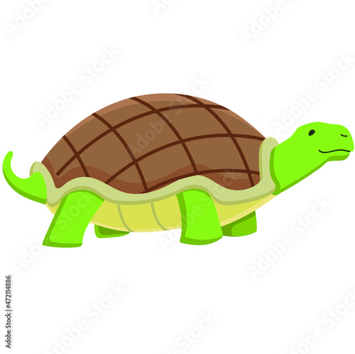 Vector tortuga de caparazón café, ilustración digital