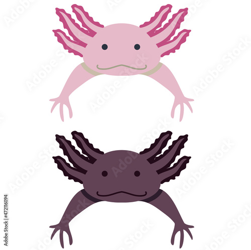 Vector Axolotl cutáneo (Ambystoma mexicanum), par de ajolotes, ilustración digital