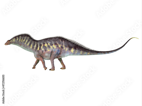 Amargasaurus Herbivore Dinosaur - Amargasaurus was a herbivorous sauropod dinosaur that lived in Argentina during the Cretaceous Period.