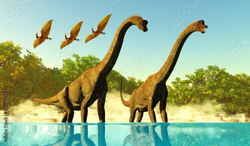 Fototapeta Naklejka Na Ścianę i Meble -  Brachiosaurus Jurassic Lake - Pterodactyl reptiles fly over two Brachiosaurus Titanosaur sauropod dinosaurs enjoying the water.
