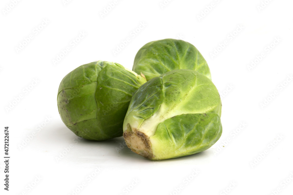 brussels sprouts on white background brussels sprouts on white background