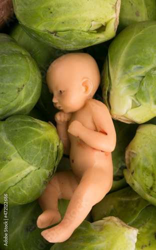 Figurine of a child in cabbage