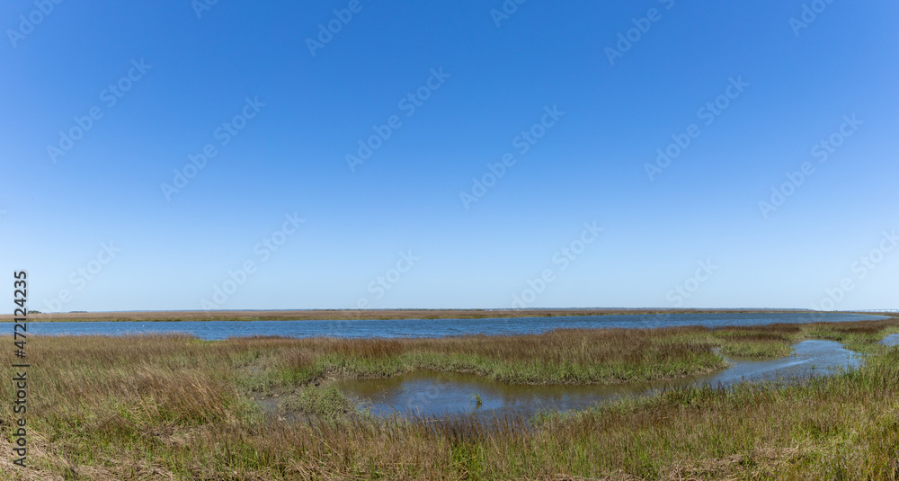 Wide panorama of a salt marsh on the South Carolina coast, clear blue sky reflected in the water, horizontal aspect
