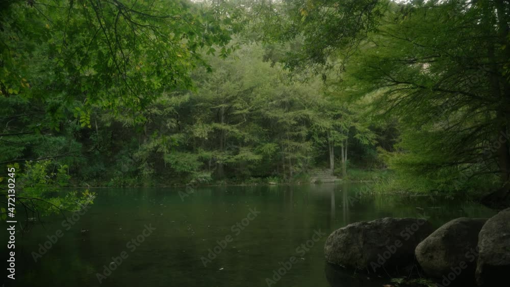 Magical serene misty green forest and swimming hole in Texas slow motion handheld view of shore and lake in 4k Magical serene misty green forest and swimming hole in Texas slow motion handheld view of shore and lake in 4k