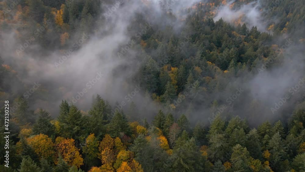 Aerial View of Scenic Autumn Landscape and Raising Fog, Colorful Forest in Countryside of Oregon USA. Drone Shot Aerial View of Scenic Autumn Landscape and Raising Fog, Colorful Forest in Countryside of Oregon USA. Drone Shot