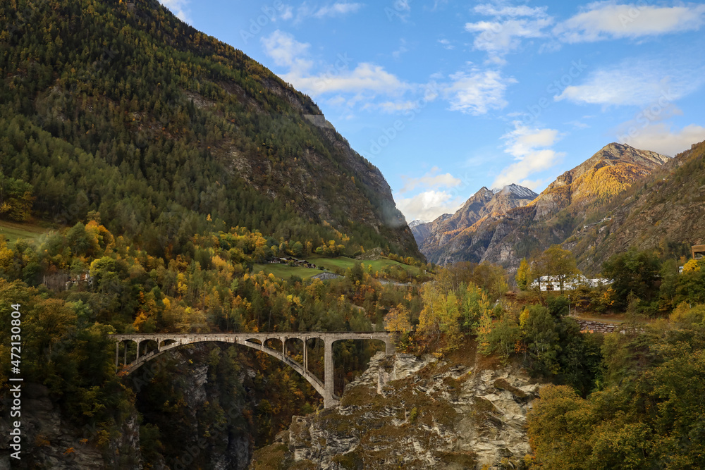 View of autumn season in nature and environment at swiss View of autumn season in nature and environment at swiss