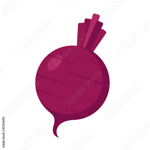 beet root, red beet vector illustration logo icon