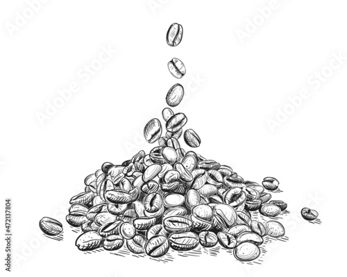 Hand drawn sketch black and white of coffee beans, grain, pile. Vector illustration. Elements in graphic style label, card, sticker, menu, package. Engraved style illustration.