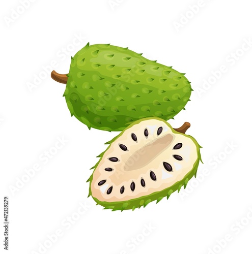 Fotografiet Soursop or sour apple whole and cut isolated tropical fruit