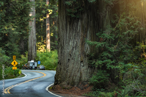 Redwood Highway 101 Northern California USA photo