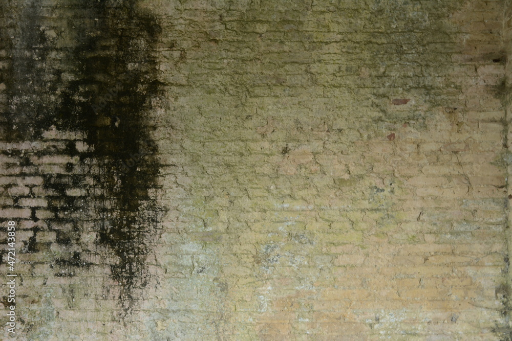 Obraz premium old brick wall